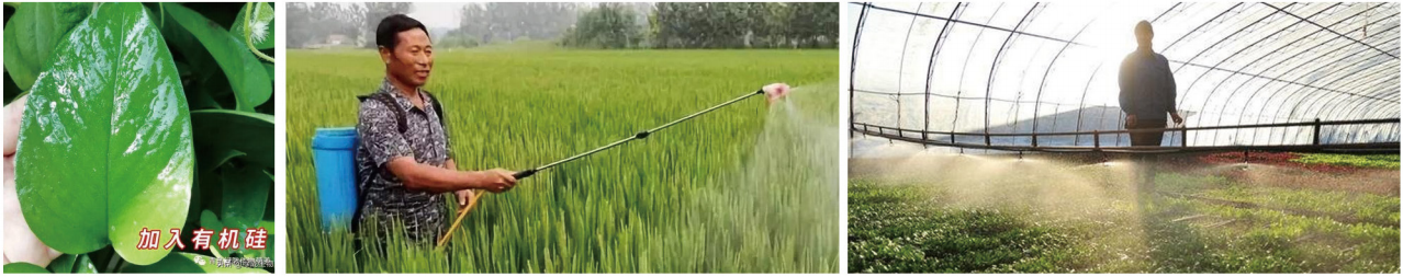 1664264693232429.png 21-21.png